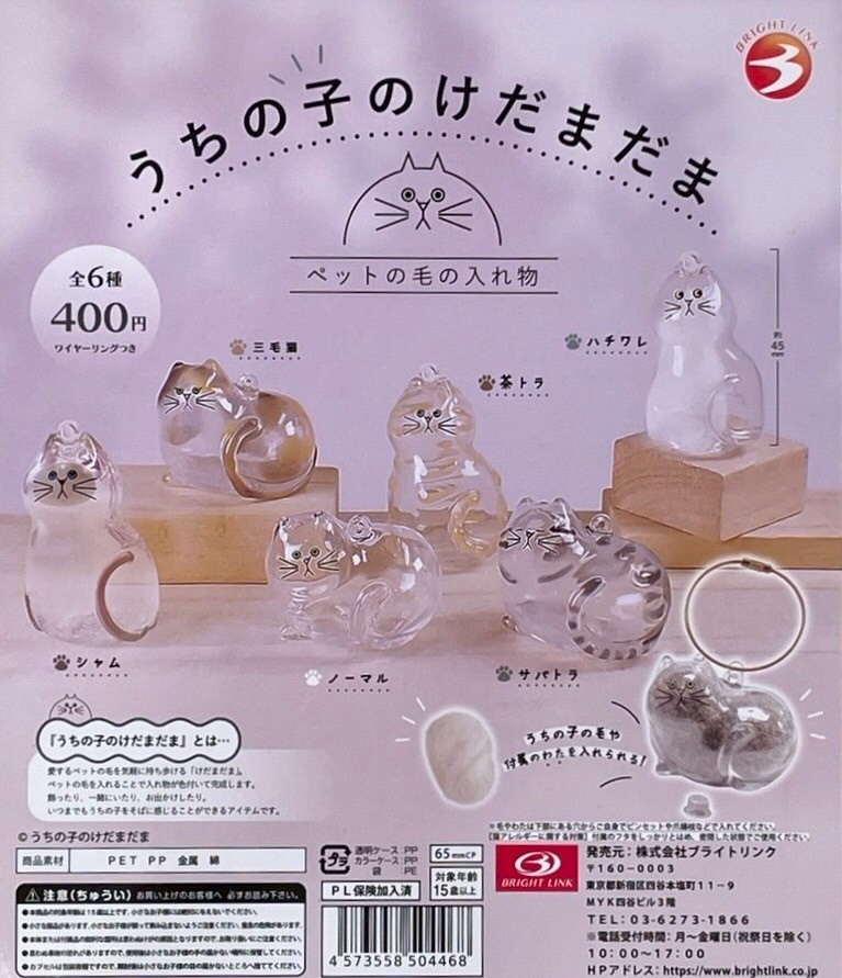 華郵集郵　6 在中国ドイツ郵便 華郵集郵 6 在中国ドイツ郵便